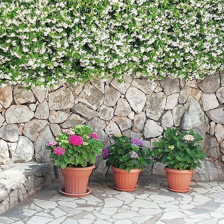 אומיסאליי Villa Gromaca מראה חיצוני תמונה